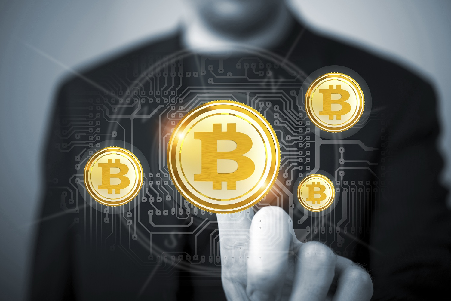 kripto cég